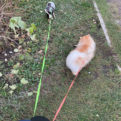 Dogleash Double