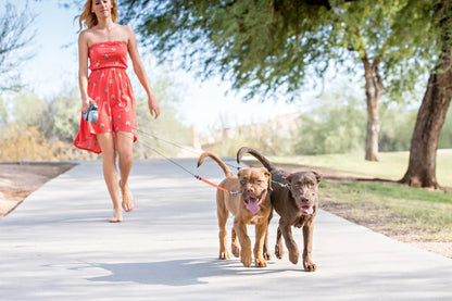 Dogleash Double